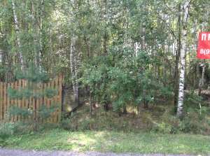 ��������� ������ ������� 8 �����, ��������� �����, ���������� �������, �. ��������, �� �������. - ����������� 1