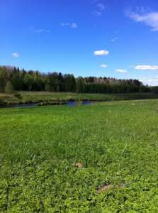 ��������� ������ ������� ��������. - ����������� 1