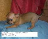 ��������� ������ , �������� ���� ������� - ����������� 3