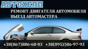 ���������. ������ ����������. �����. ���� - ����������� 1