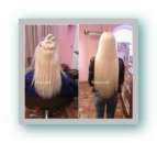 ��������� ������ - �����������, �������������, ����������� ����� ����. - ����������� 3