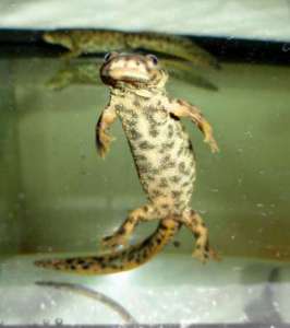 ��������� ������ - ������������� �������� ��������! - ����������� 1