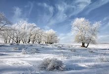 ��������� ������� 11 �����. ��� 11 ������ 28 �� �� ���� - ����������� 1