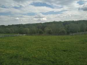 ��������� ������� 12 ���. (���) - ����������� 1