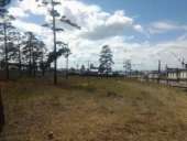 ������� � ����������: ��������� ������� 75 �����