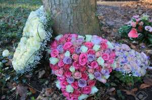 ��������� ������� - ����������� 1