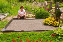 ��������� ������� - ����������� 1