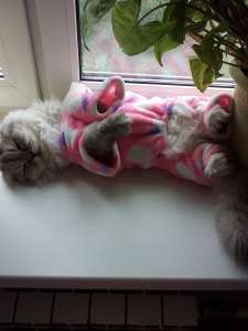 ��������� ������� - ����������� 1