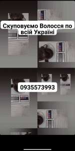 ��������� ������� � ���� - ����������� 1