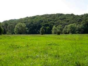 ��������� ������� � ����������-���������. - ����������� 1