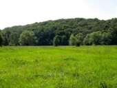 ��������� ������� � ����������-���������. - ����������� 1