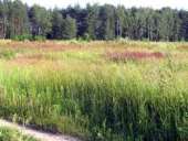 ��������� ������� � ����������-���������. - ����������� 2