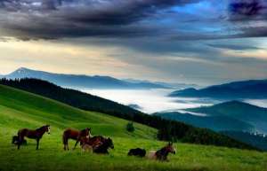 ��������� ������� �� ������� ���������, ���������� ���� �� ����� �� ������� - ����������� 1