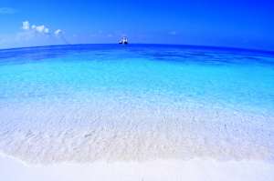 ��������� ����-��� �� �������� - ����������� 1