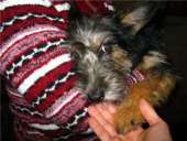 ������� � ����������: ��������� ������� ��� ���� ���.