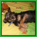 ��������� ������� ��� ���� ���. - ����������� 2