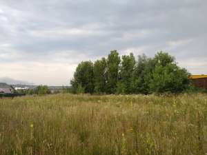 ��������� ������� ��� ������ (���������) - ����������� 1