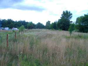 ��������� ������� ���. ���������, ��������� �-�, ������������ ���. - ����������� 1