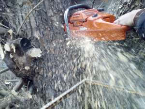 ��������� ������� ���� - ����������� 1