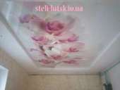 ��������� ������� ���� ����� ����, ����������. ������� �����! - ����������� 2