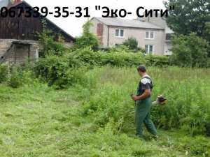 ��������� ������� ����, ������ ������� ������� - ����������� 1