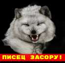 ��������� ������� ���� �����������. ���������� - �������/�������