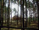 ������� � ����������: ��������� ������� ����� ��� ��������� � 5 �� �� �� �����