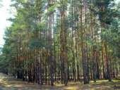 ��������� ������� ����� ��� ��������� � 5 �� �� �� ����� - ����������� 2