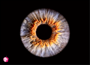 ��������� �������: ����� ���� ����� ������� - ����������� 1