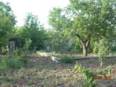 ��������� ������� �����, ����������������� ��� �������� �������������, 8 ����� - ����������� 3