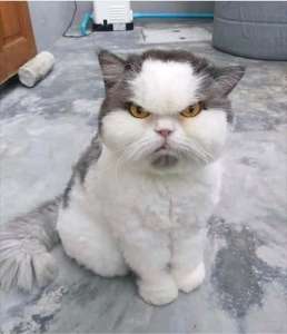 ��������� ������� ������ � ���� �� 15 �������� - ����������� 1