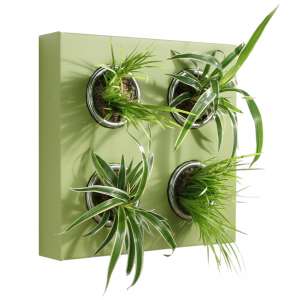 ��������� ������� ������� - ����������� 1