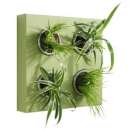 ��������� ������� �������. �������� - �������/�������