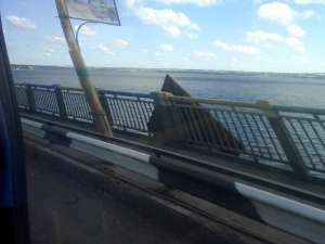 ��������� ������� ������� �� �� ���.0689144980 - ����������� 1