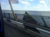 ��������� ������� ������� �� �� ���.0689144980. �� ���� � - ����������