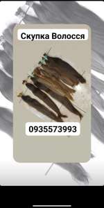 ��������� ������� ������� ��� �� ��� ������ - ����������� 1