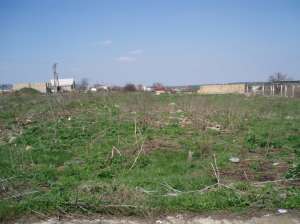 ��������� ������� ������� ������� 0,8 �� - ����������� 1