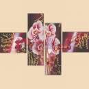 ������� � ����������: ��������� ������� ������� ������� ��