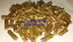 ��������� ������� (�������), ��������� ������� ������ � �������. - ����������� 1