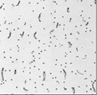 ��������� ������� ��������� ���� ������ � ����� (044) 383-26-13 - ����������� 1