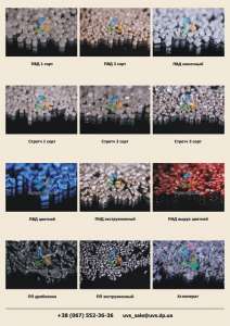 ��������� ������� ���������� ����, ��������� ���� - ����������� 1