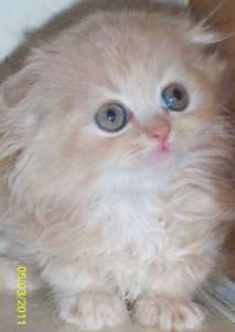 ��������� �������, ���������� ������� - ������ ������ � ������� - ����������� 1