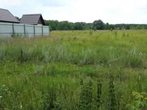 ��������� ������� ���������� ������� - ���������, ������������� ����� �4 �������� - ����������� 1