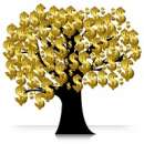 ������� � ����������: ��������� ������� ����������, ������������.