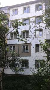 ��������� ������� �����������. �������� ������. - ����������� 1