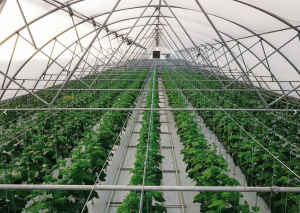 ��������� �������� 6,8 �� - ����������� 1