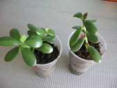 ��������� �������� - ����������� 3