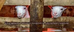 ��������� �������� - ����������� 1