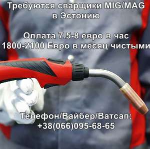 ��������� �������� MIG MAG � ������� (1800-2100 ���� � �����) - ����������� 1