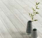 ������� � ����������: ��������� �������� �� ������